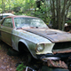 Illustration for article titled Massive Secret Mustang Junkyard Found In Rhode Island Forest